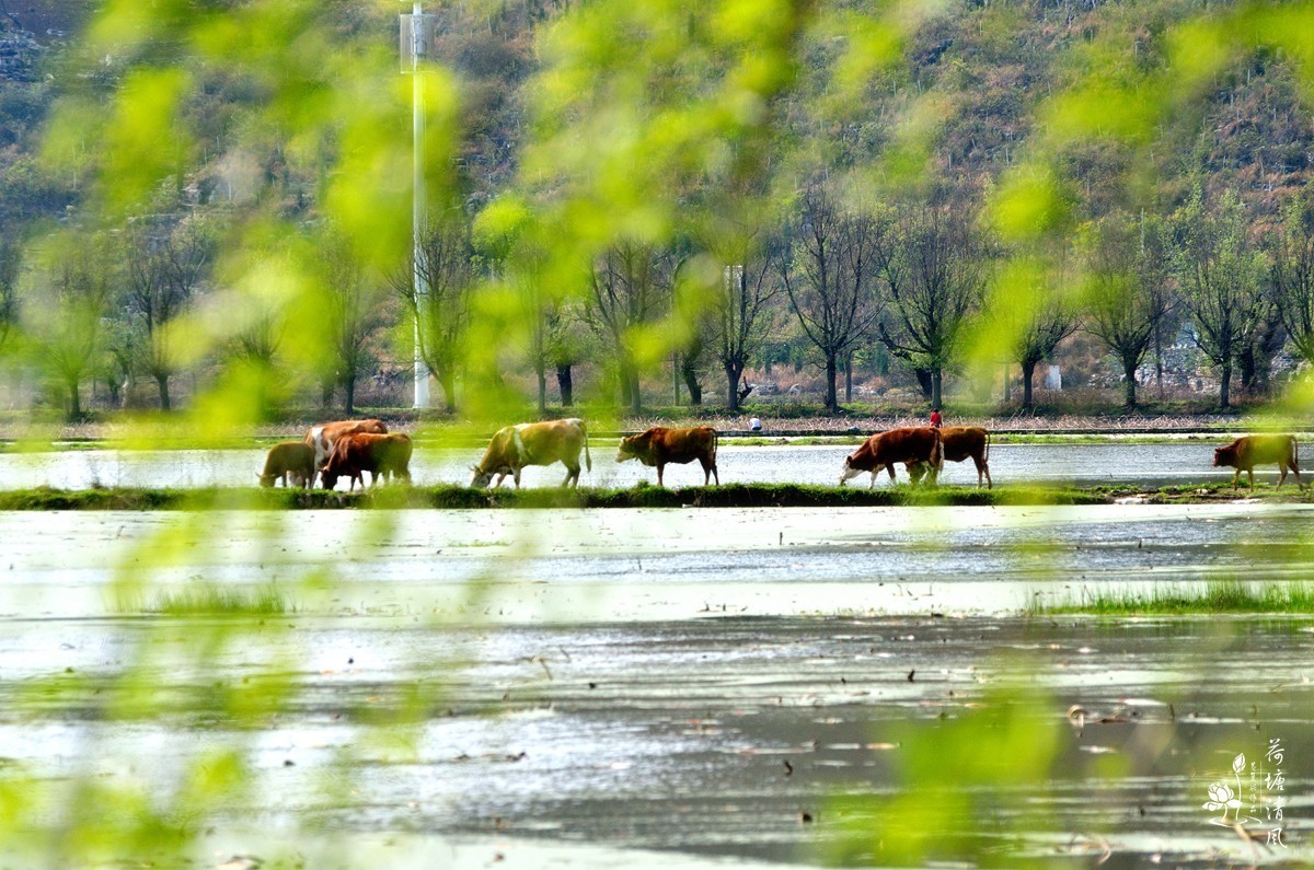 贵州省安龙县。我的家乡，一组风光与大家共享。