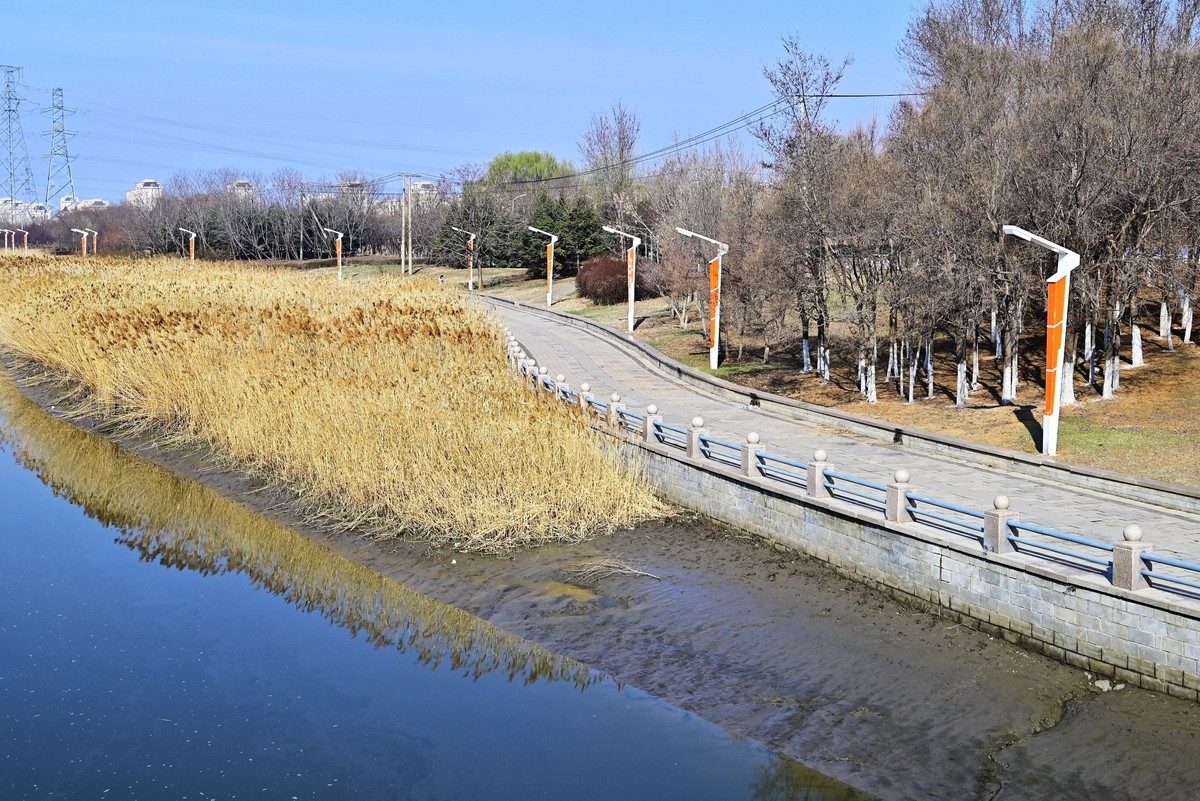 春暖花开万象更新