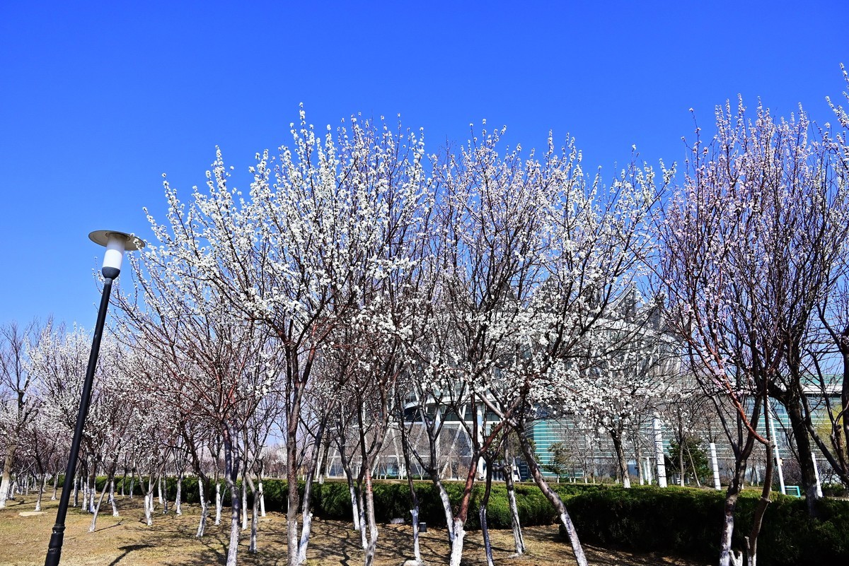 春暖花开万象更新