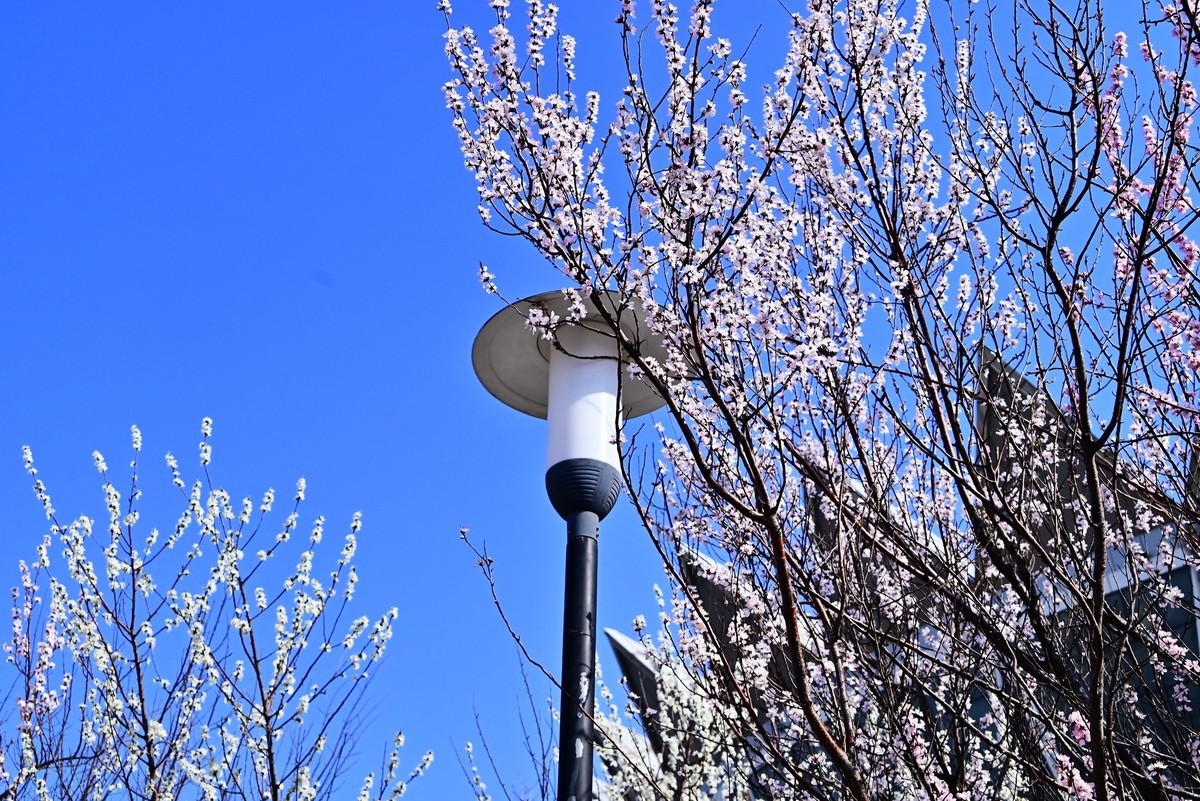 春暖花开万象更新