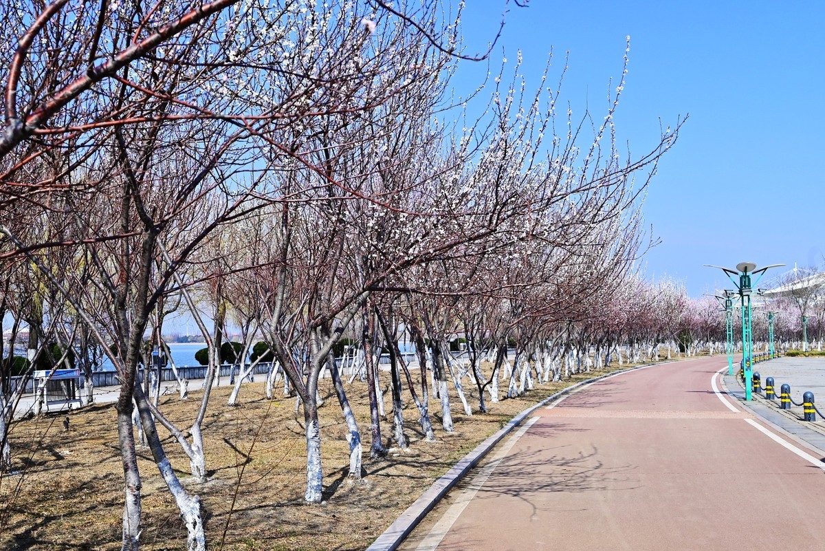 春暖花开万象更新