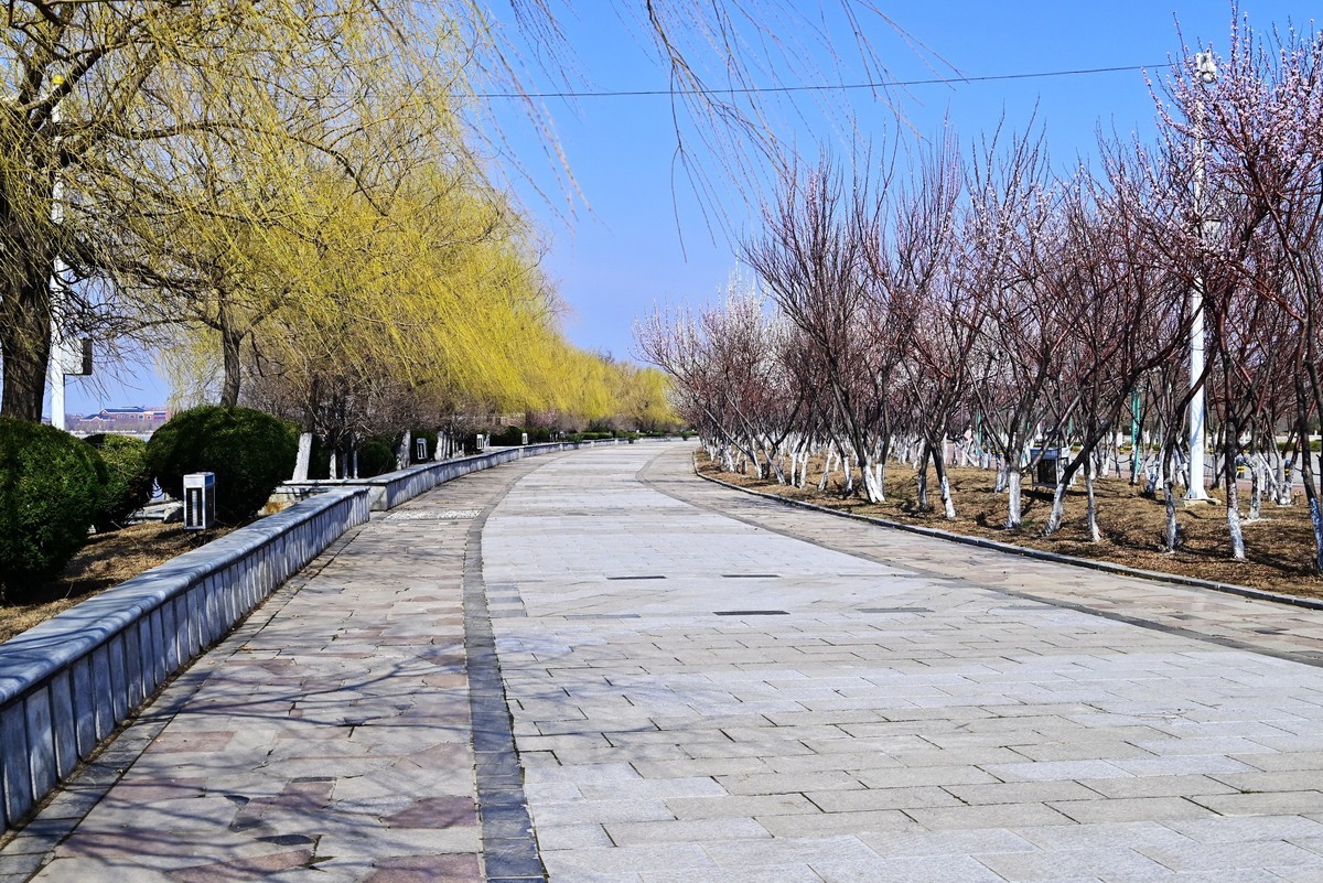 春暖花开万象更新