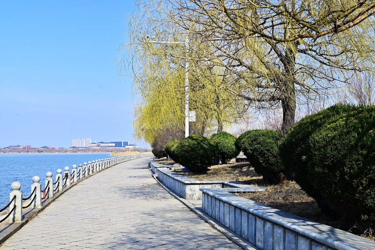 春暖花开万象更新