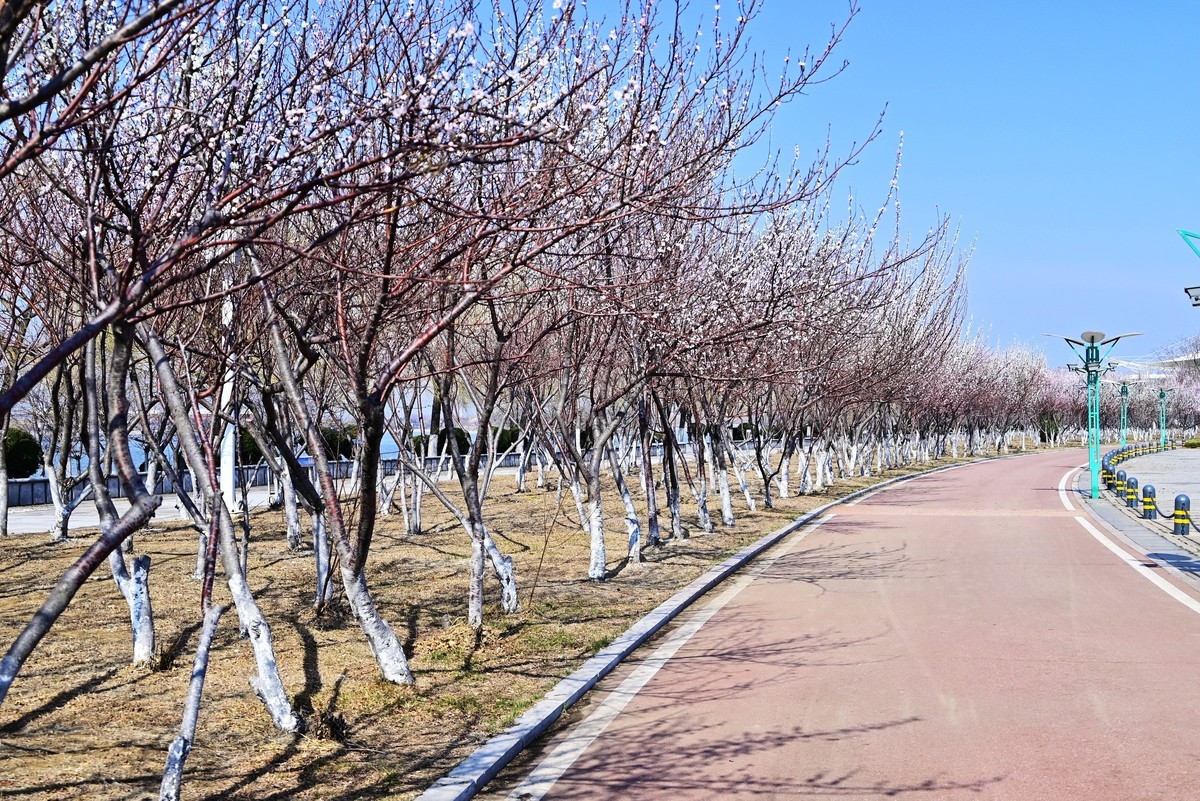 春暖花开万象更新