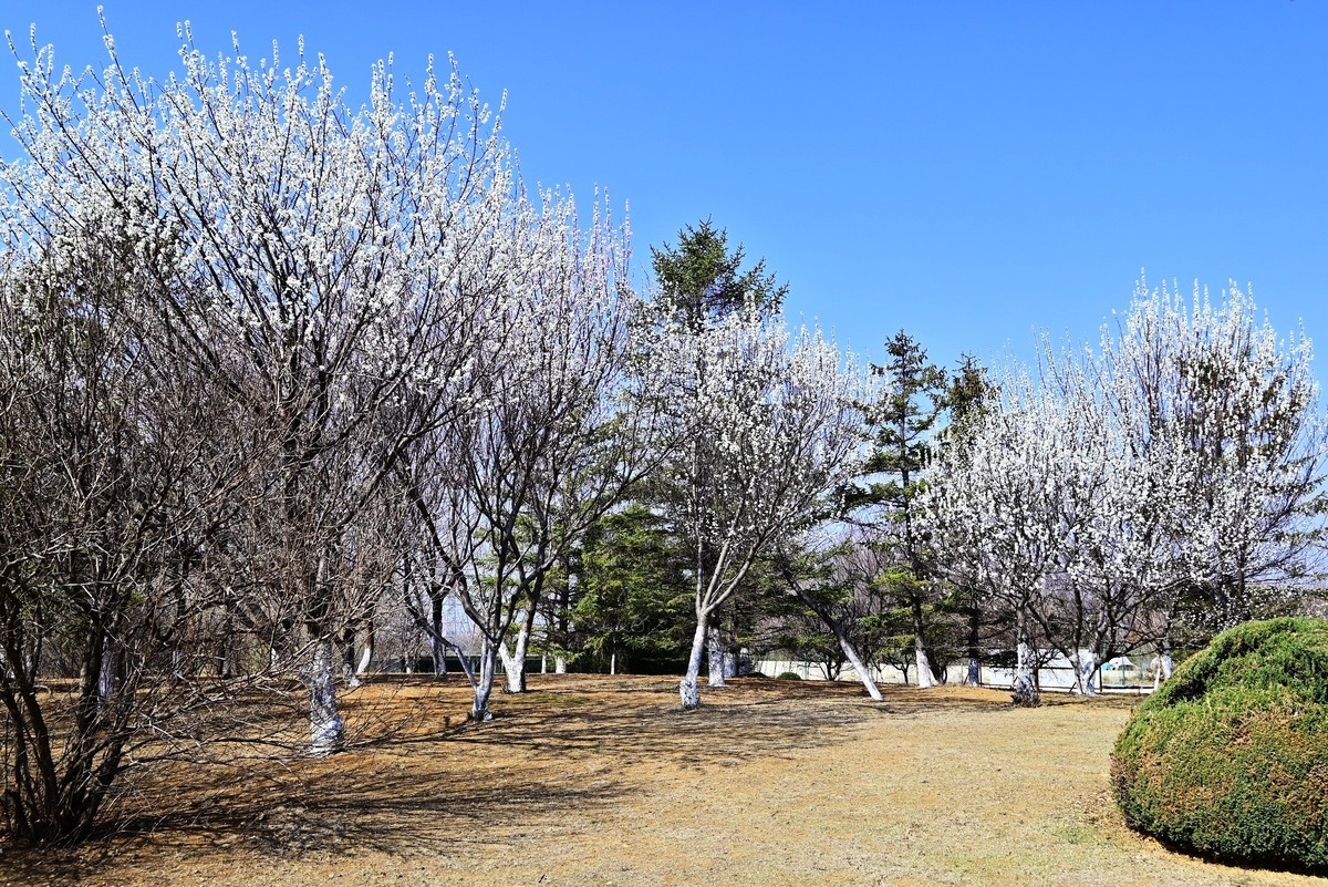 春暖花开万象更新