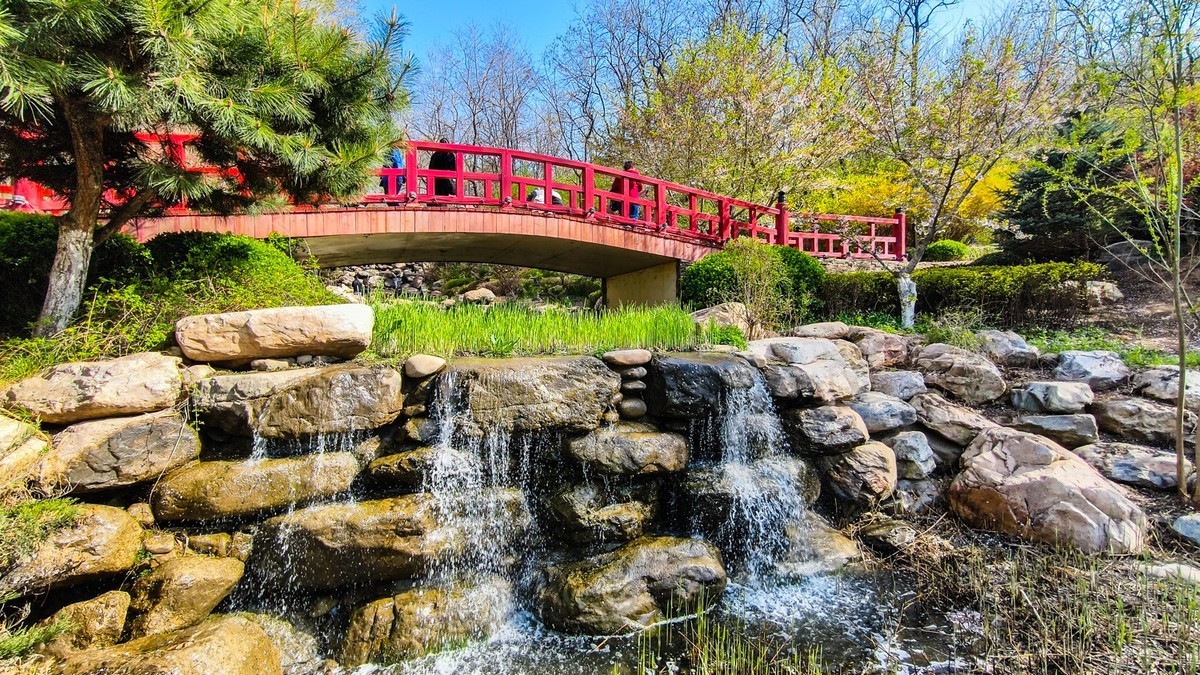 春 和 景 明 植 物 园 （ 二）