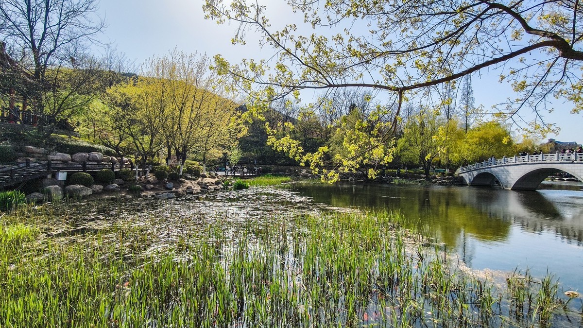 春 和 景 明 植 物 园 （ 二）