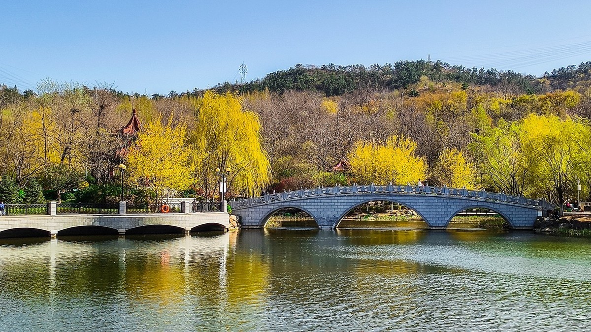 春 和 景 明 植 物 园 （ 二）