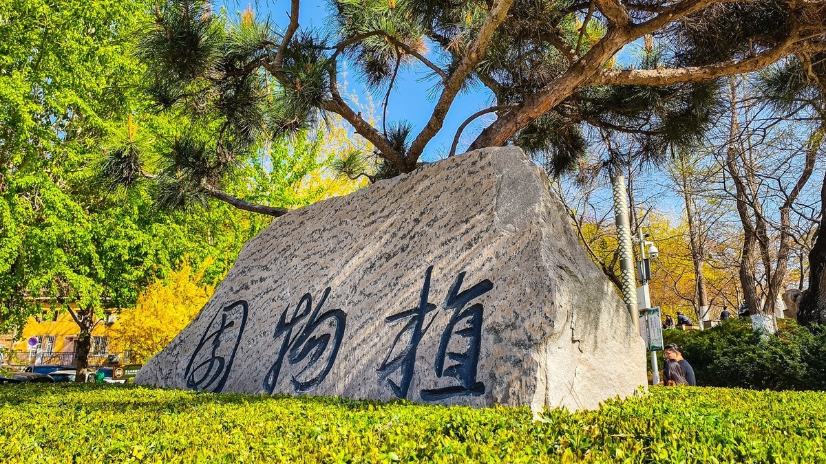 春 和 景 明 植 物 园 （ 二）