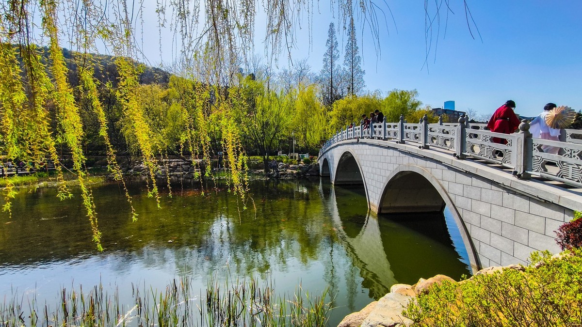 春 和 景 明 植 物 园 （ 二）