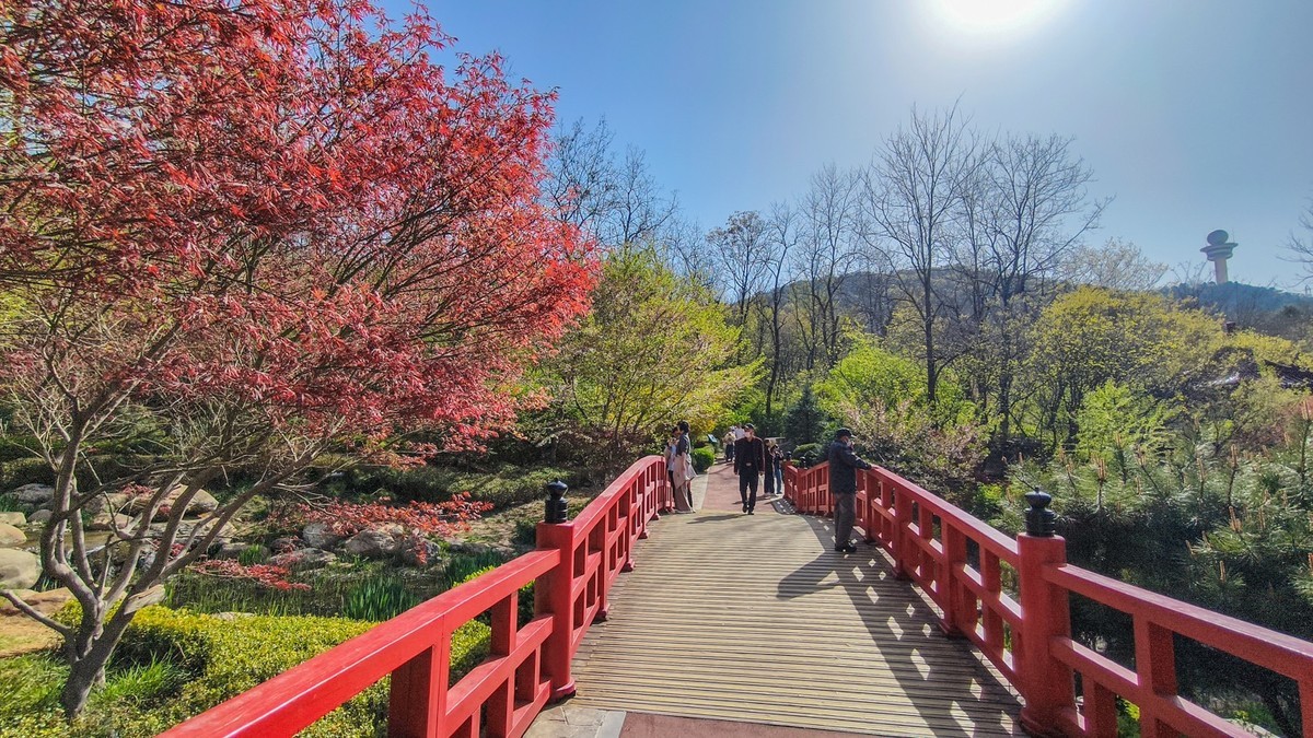 春 和 景 明 植 物 园 （ 二）