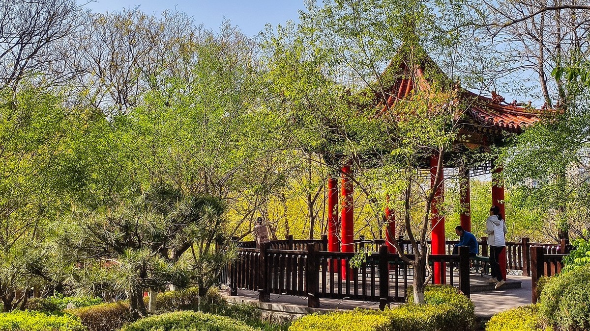 春 和 景 明 植 物 园 （ 二）