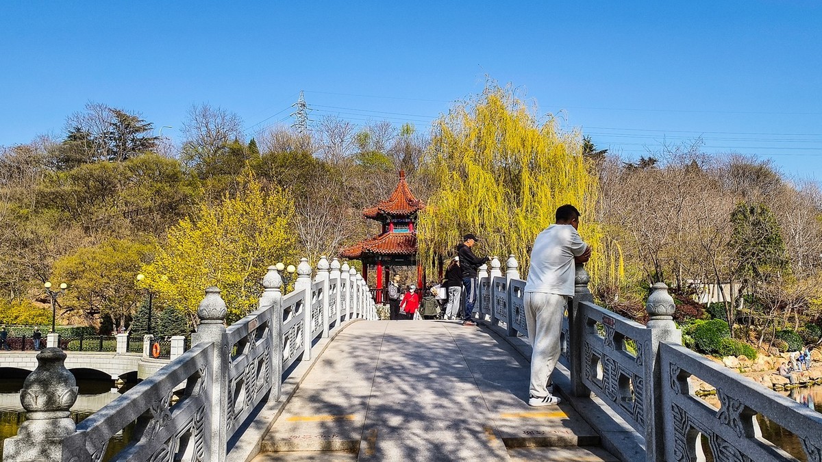 春 和 景 明 植 物 园 （ 二）