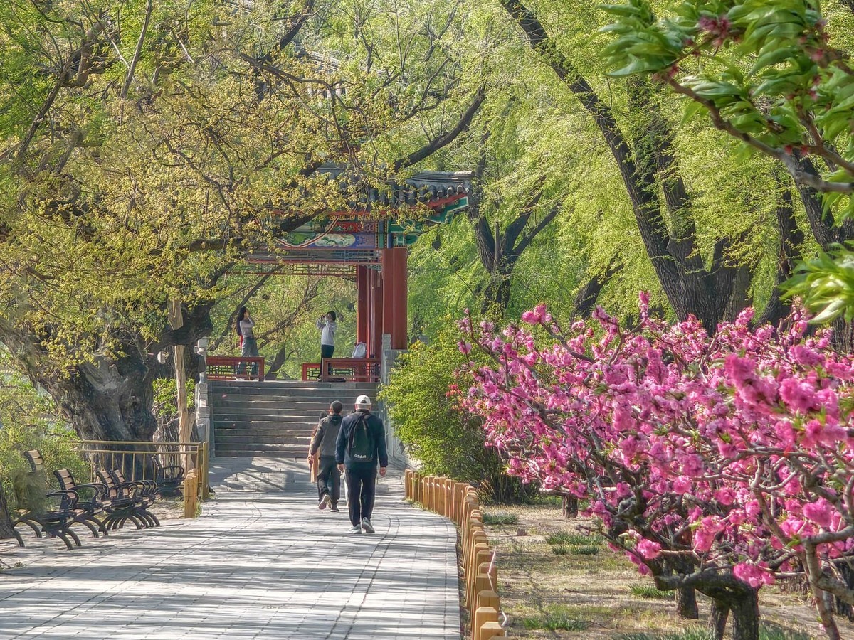 台风过后的颐和园（4）