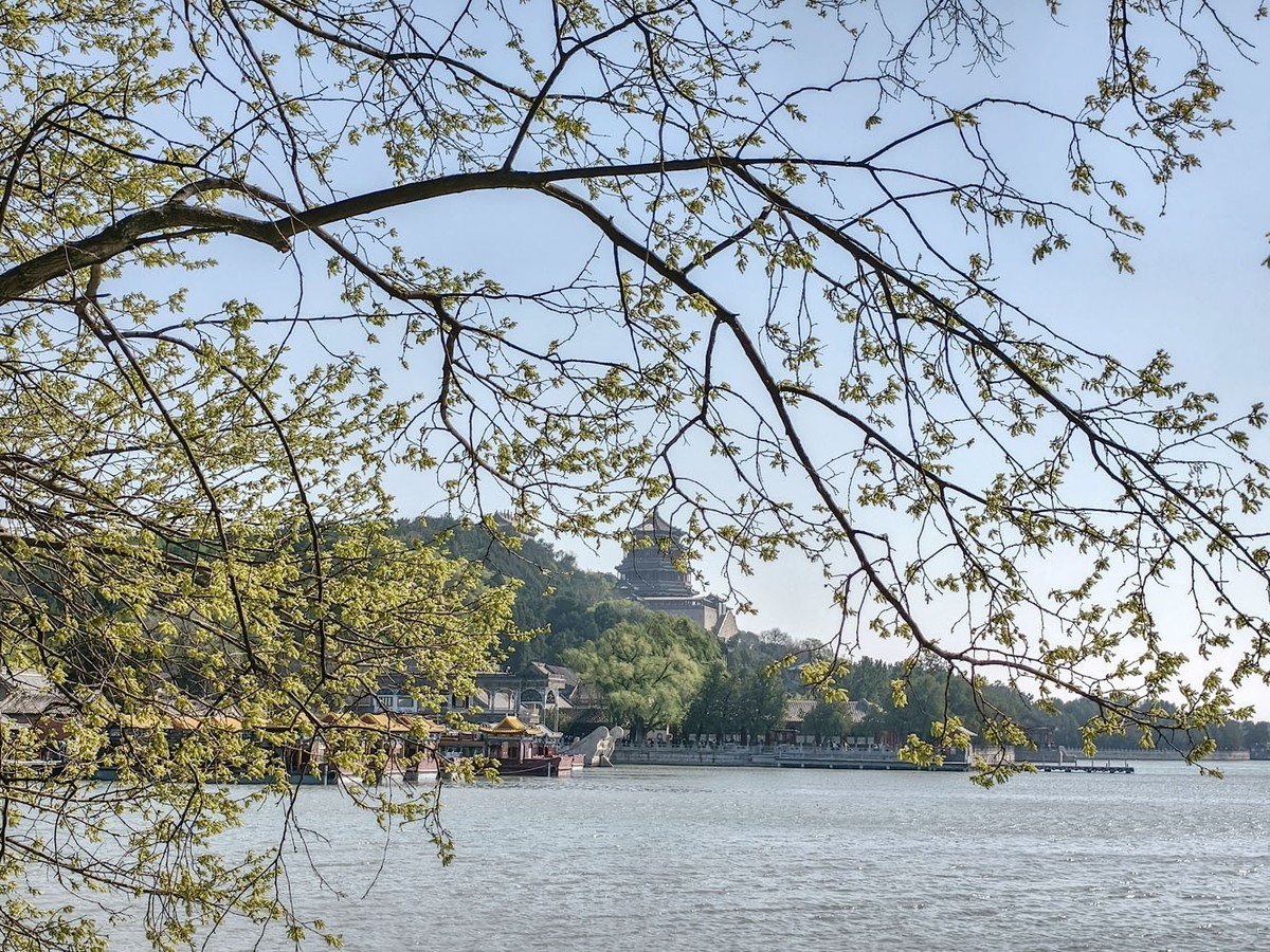 台风过后的颐和园（4）