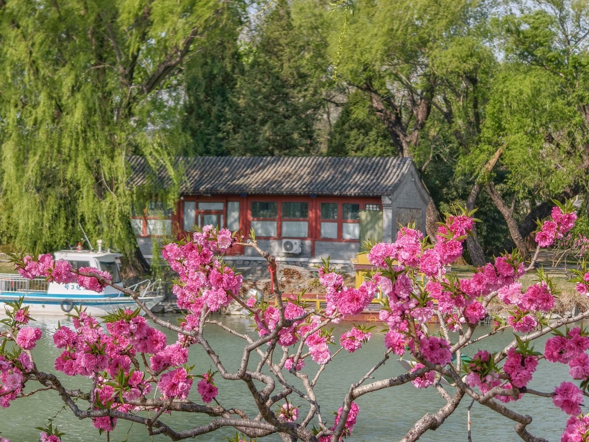 台风过后的颐和园（4）