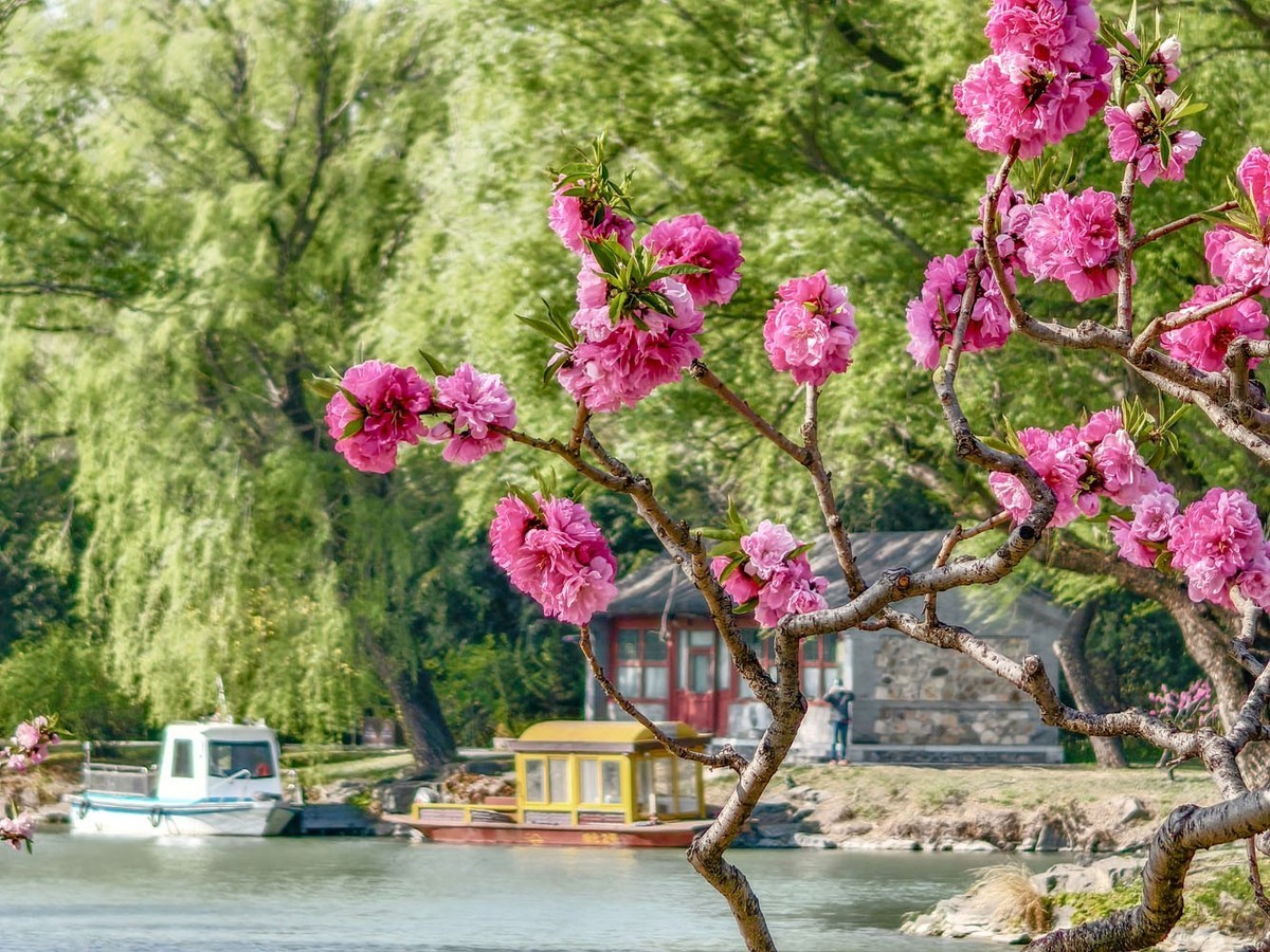 台风过后的颐和园（4）