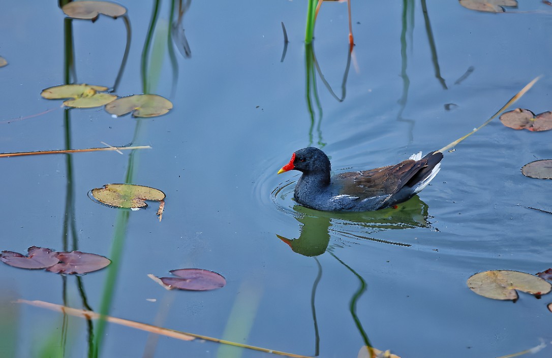 提前庆五一劳动节《风景，花草和人物》祝60D各位好友节日愉快万事如意！