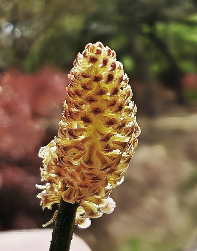 提前庆五一劳动节《风景，花草和人物》祝60D各位好友节日愉快万事如意！