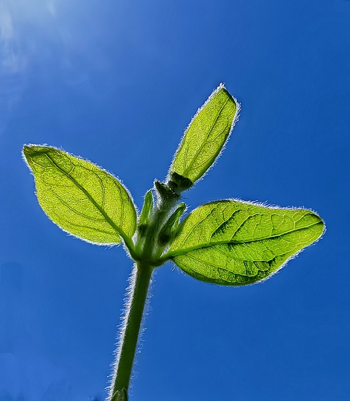提前庆五一劳动节《风景，花草和人物》祝60D各位好友节日愉快万事如意！
