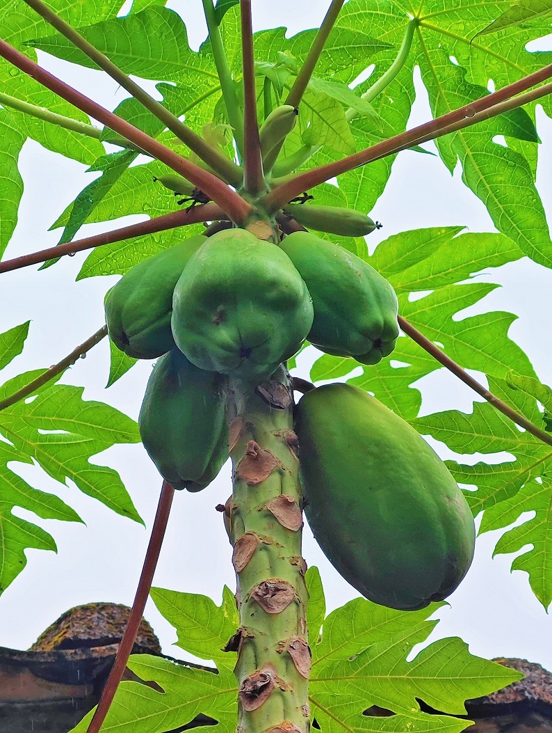 提前庆五一劳动节《风景，花草和人物》祝60D各位好友节日愉快万事如意！