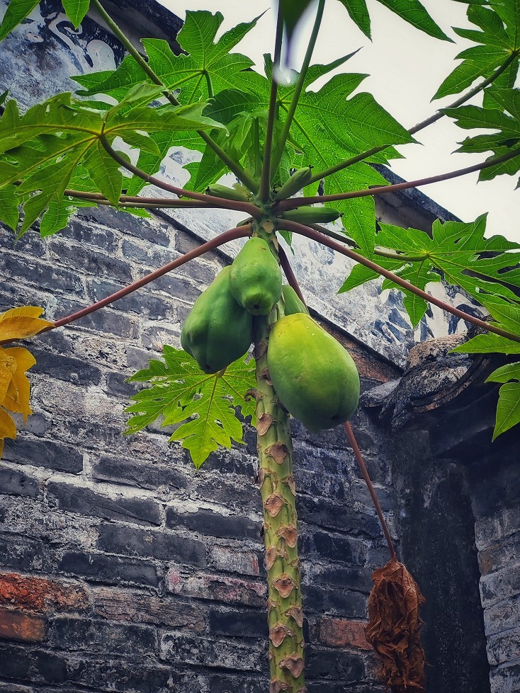 提前庆五一劳动节《风景，花草和人物》祝60D各位好友节日愉快万事如意！