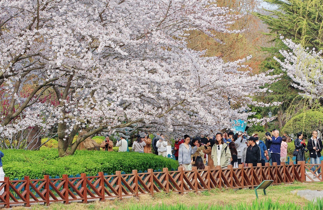 提前庆五一劳动节《风景，花草和人物》祝60D各位好友节日愉快万事如意！