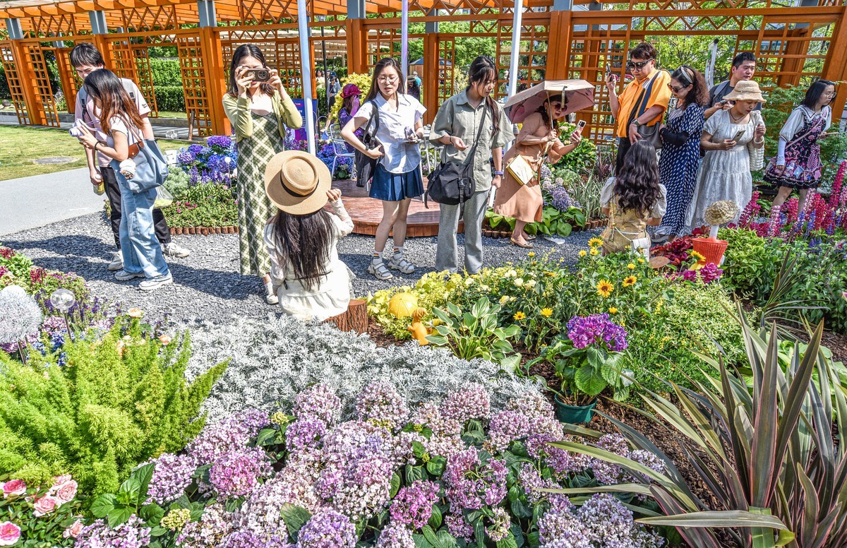 沙湖公园花卉展