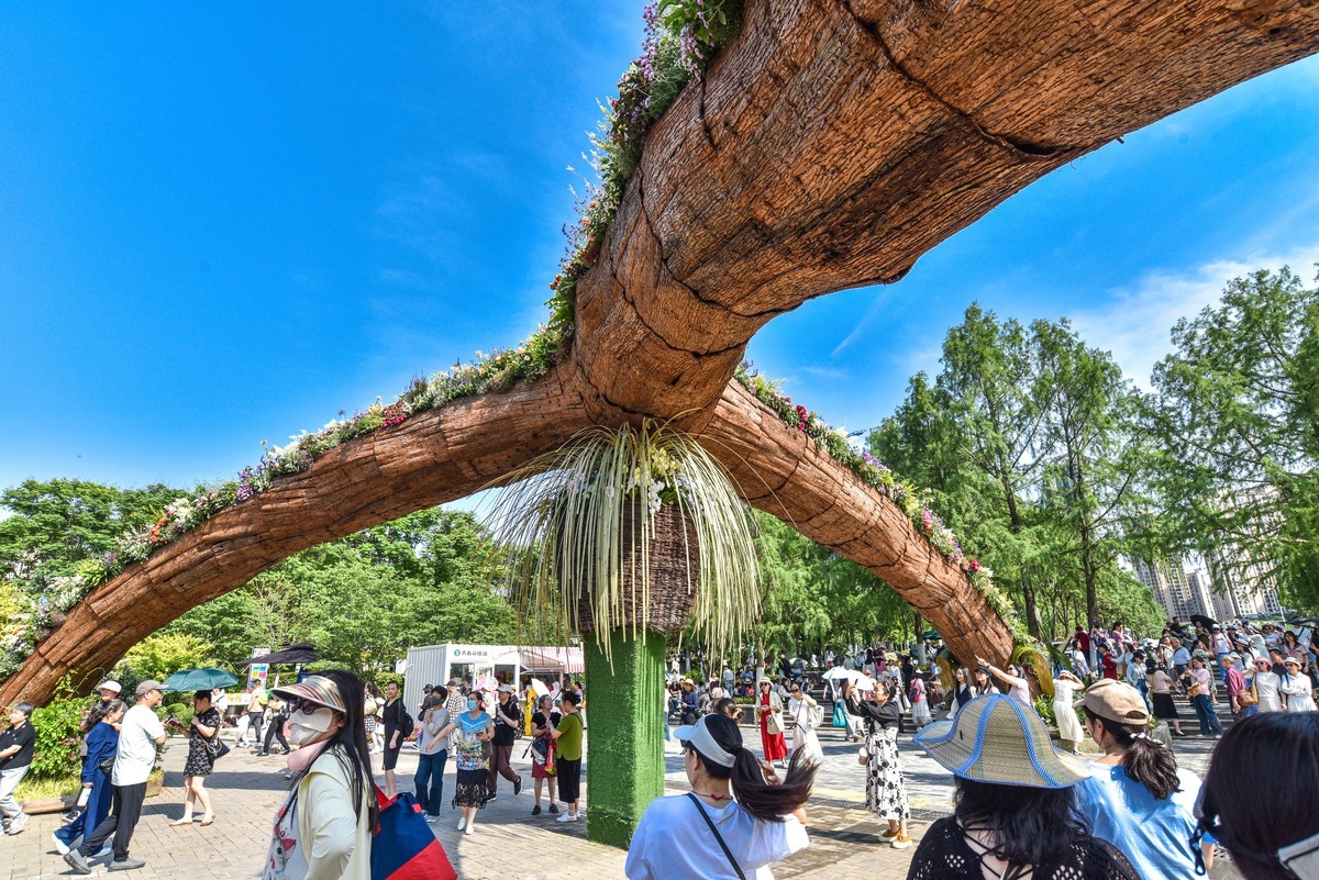 沙湖公园花卉展