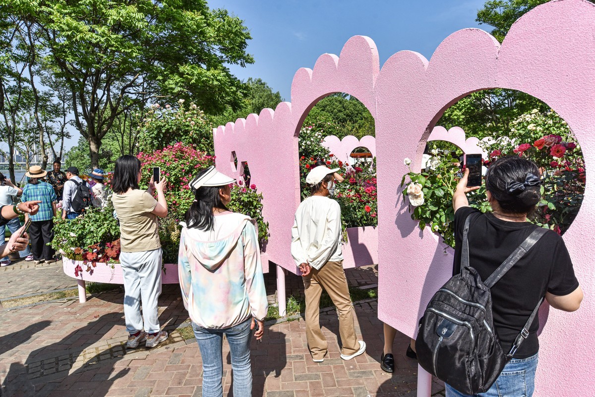 沙湖公园花卉展