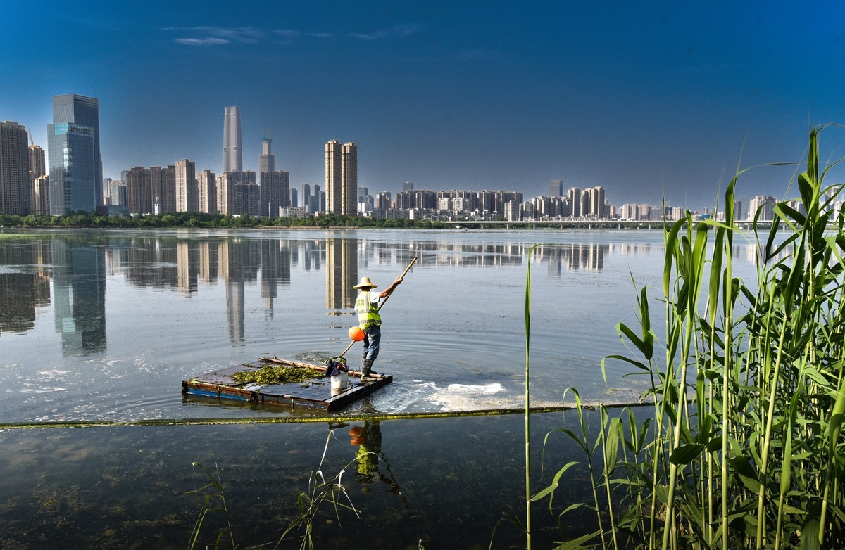 沙湖公园花卉展