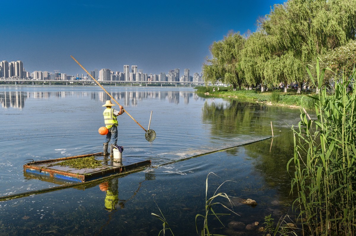 沙湖公园花卉展