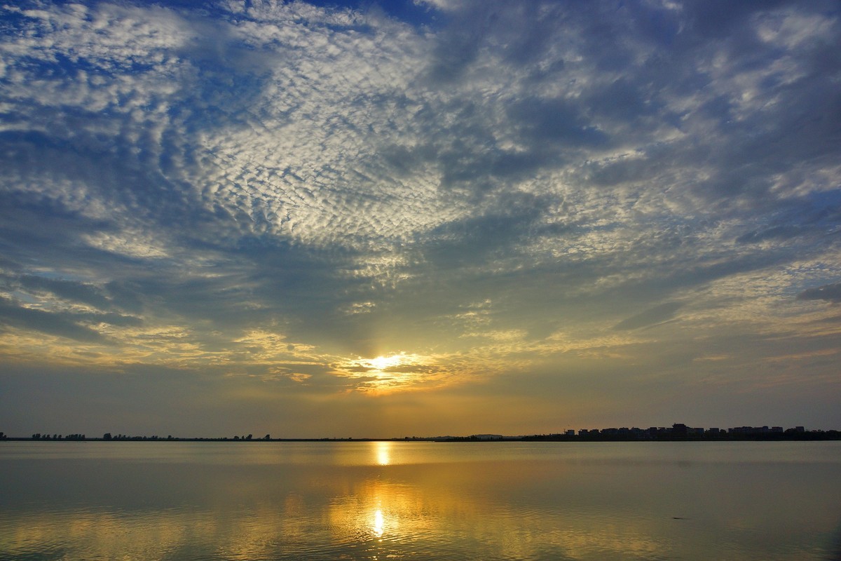 夕阳：湖畔：小花