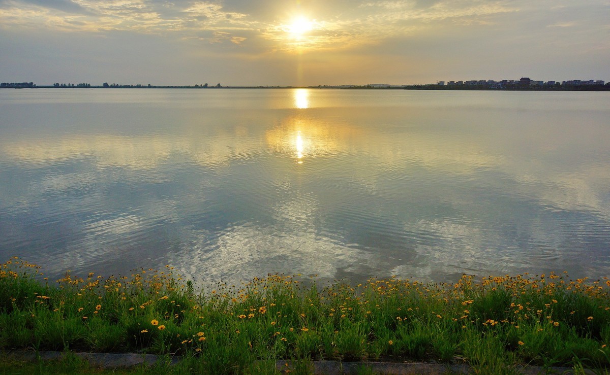 夕阳：湖畔：小花