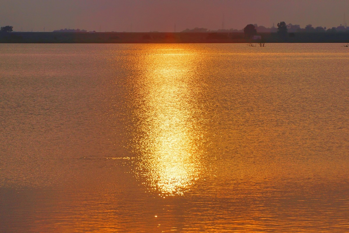 夕阳：湖畔：小花
