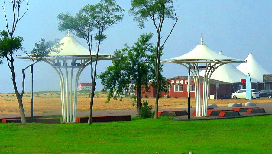 048【不老松：东戴河游纪】去东戴河金沙滩海滨路景！ (2)