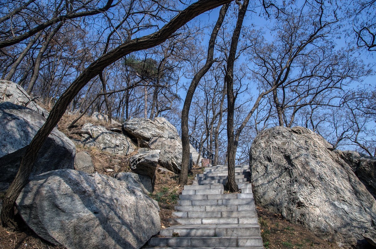 孟良崮游记（十六）