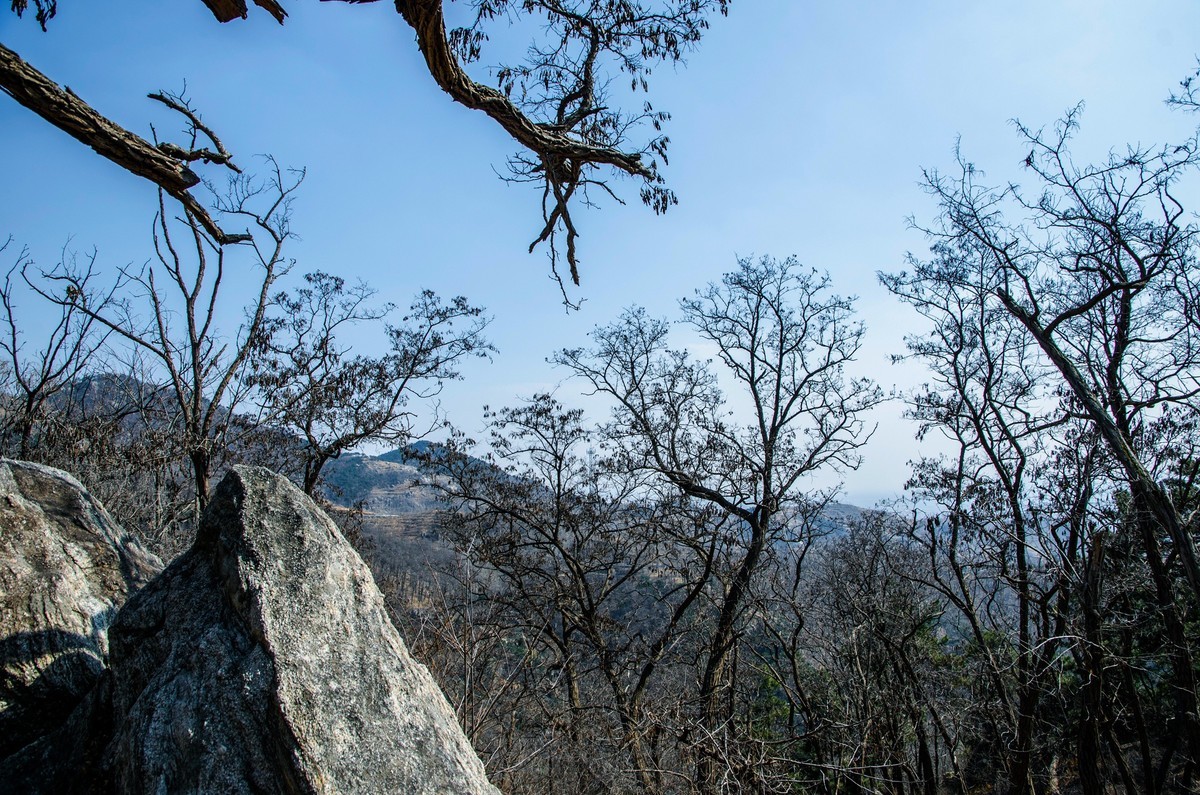 孟良崮游记（十六）