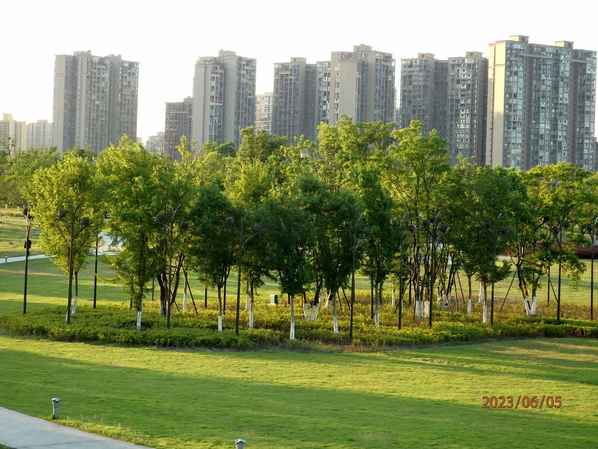 嘉陵江畔试机照（8）