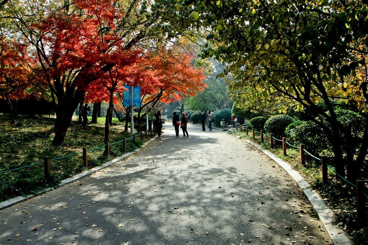 随拍——秋末冬初●公园景色（二）