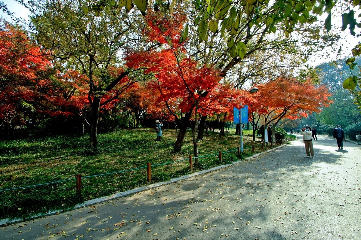 随拍——秋末冬初●公园景色（二）