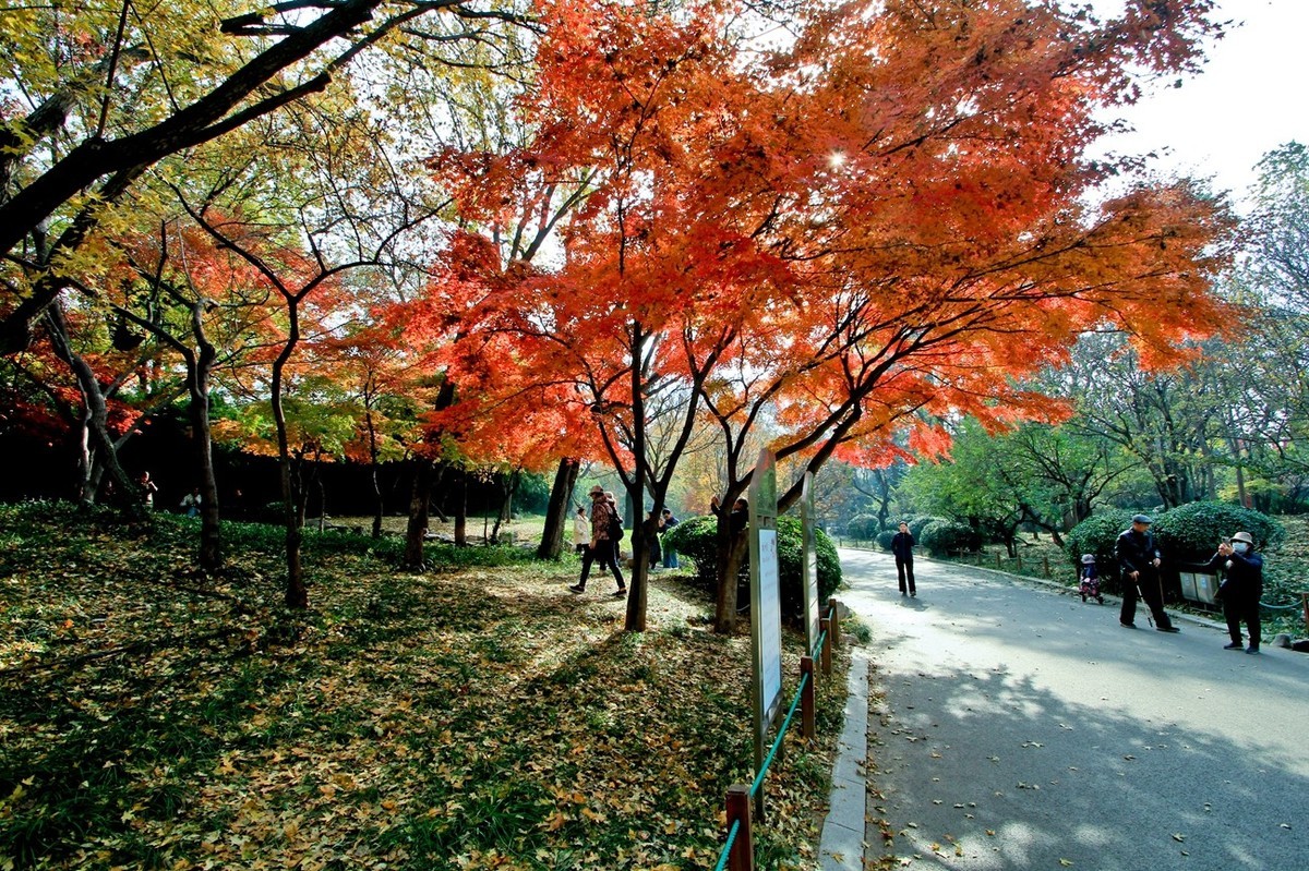 随拍——秋末冬初●公园景色（二）