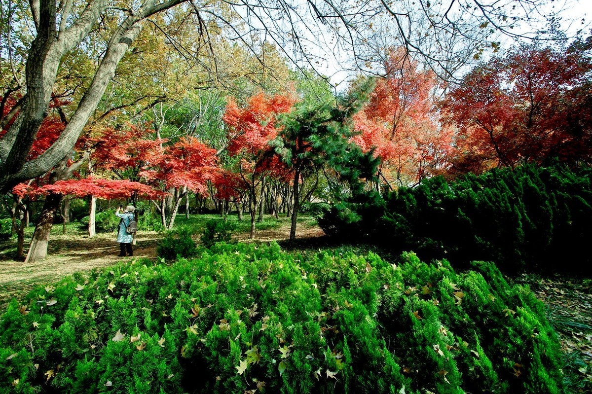 随拍——秋末冬初●公园景色（二）