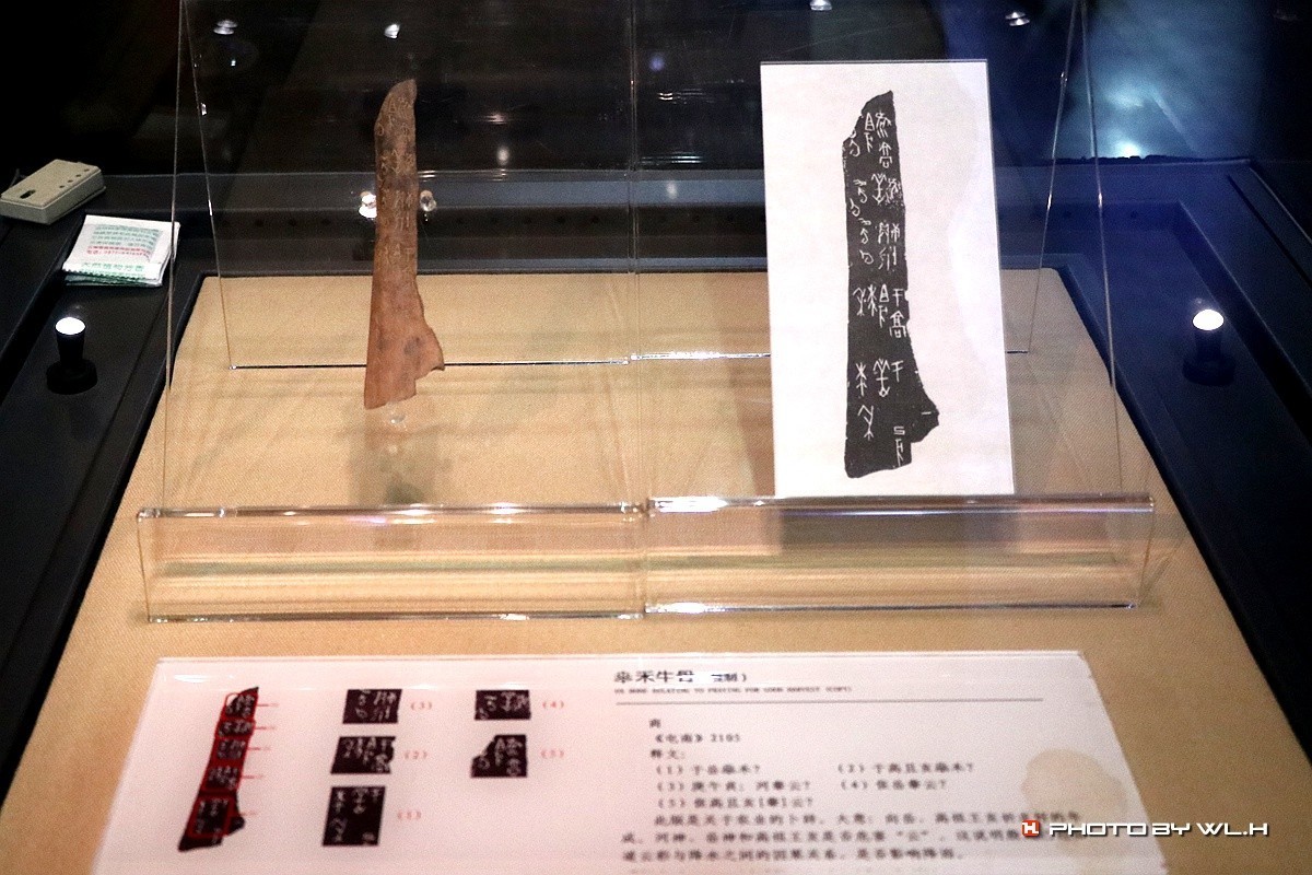 安阳，中国文字博物馆