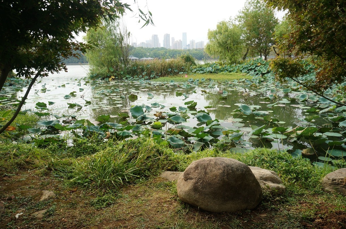 湖滨客舍-先月亭——武汉随笔