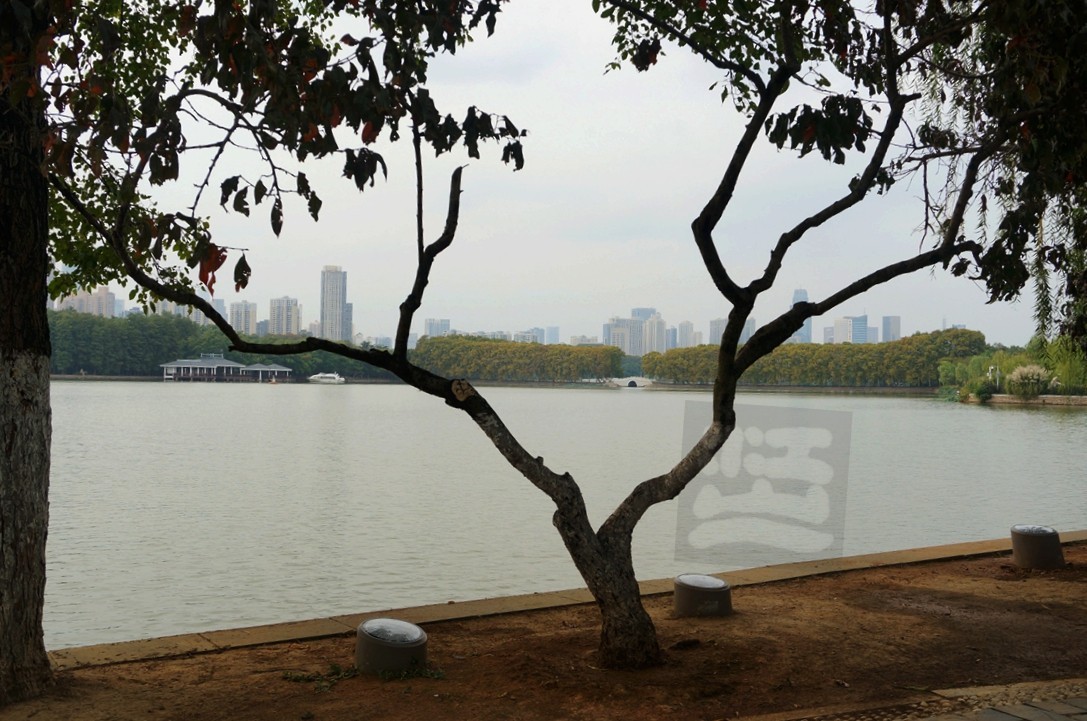 湖滨客舍-先月亭——武汉随笔