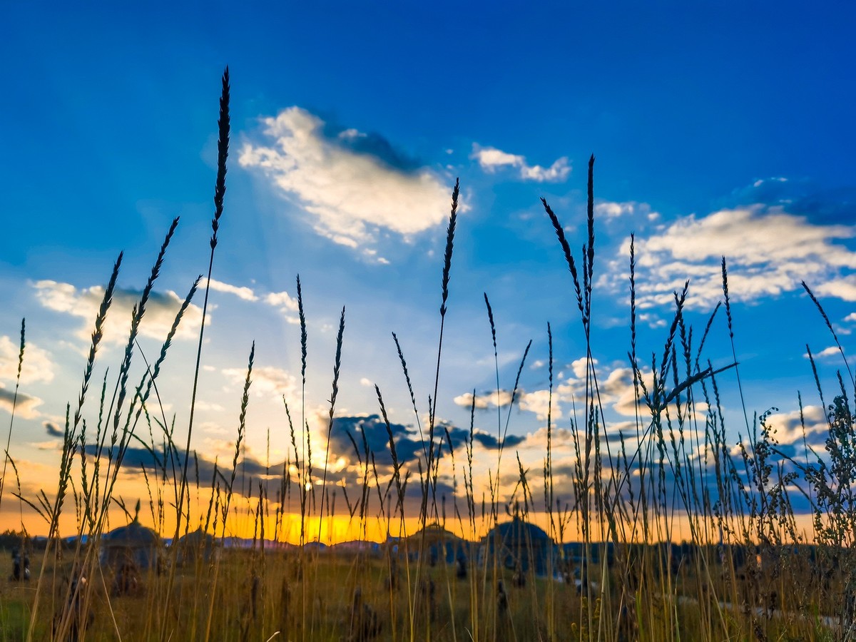 看京北草原大汗行宫秋意浓浓色彩斑斓