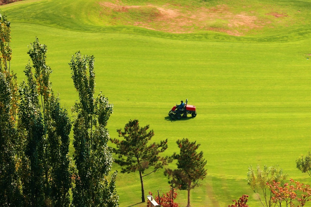 远眺高尔夫球场