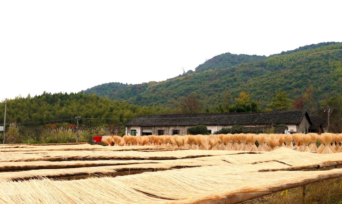  A simple automated bamboo factory at the foot of Dayou Mountain