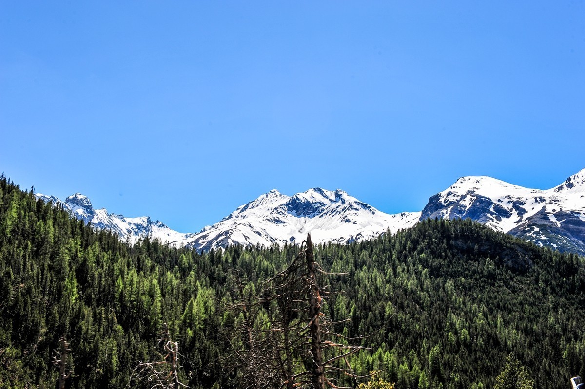 阿尔匹斯山影（奥，德，瑞--三角）